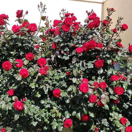 Mil Rosas Hotel Las Grutas Bagian luar foto